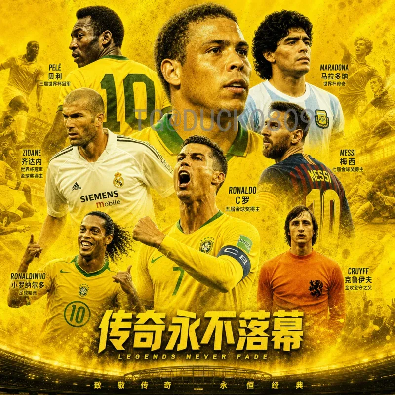 韩国世界杯淘汰赛积分榜揭秘：从历史战绩看亚洲足球的骄傲